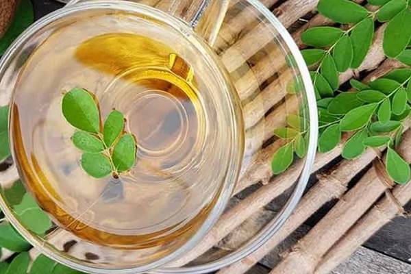 Moringa Tea: முருங்கை தேனீருக்கு இவ்ளோ பவரா? இனியும் தவிர்க்காதீங்க | Amazing Health Benefits Of Murungai Tea