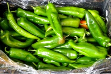 பச்சை மிளகாய் சாப்பிட்டால் தொப்பை கடகடனு குறையுமாம்... ஒரு நாளைக்கு எத்தனை சாப்பிடனும் தெரியுமா?