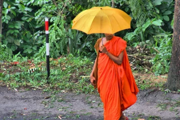 பெண்ணை நம்பி ஐந்து கோடி ரூபா இழந்த பிக்கு!