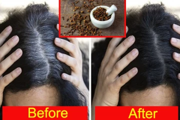 நரைத்த முடியை கருப்பாக மாற்றும் கிராம்பு; எப்படி பயன்படுத்தலாம் தெரியுமா?