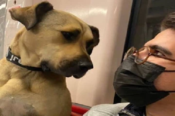 தினமும் பொது போக்குவரத்துகளில்  30 கிலோமீற்றர் பயணிக்கும் போஜி நாய்