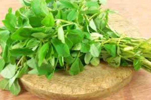 நீரிழிவு நோய் கட்டுக்குள் இருக்க வேண்டுமா? இதை மட்டும் செய்தால் போதும் | Diabetes Control These Food Eat நீரிழிவு நோய் கட்டுக்குள் இருக்க வேண்டுமா? இதை மட்டும் செய்தால் போதும் | Diabetes Control These Food Eat