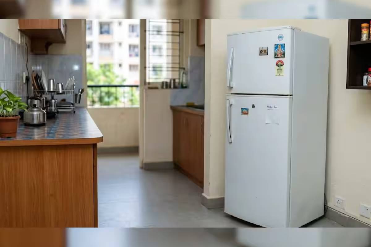 மூன்று மாதக் கருவை ஃப்ரிட்ஜில் வைத்திருந்த தம்பதியர்: வழக்குப்பதிவு செய்த பொலிசார் | Foetus Found In Fridge Of Bengaluru Flat