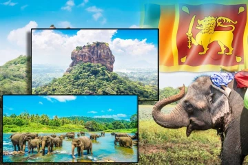 சுற்றுலாப் பயணிகளின் எண்ணிக்கையில் ஏற்பட்ட மாறறம்