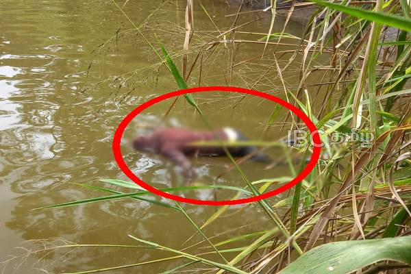 மேல் கொத்மலை நீர்தேகத்திலிருந்து ஆணின் சடலம் மீட்பு..! | A Man Died Due To Drowning Talawakela
