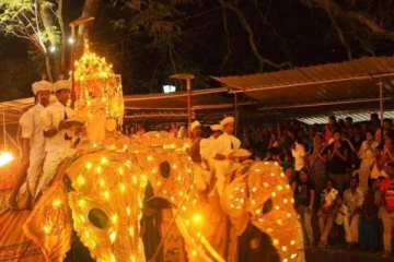 கதிர்காமம் எசல பெரஹெரவில் ஏற்பட்ட அசம்பாவிதம்... 13 பேர் வைத்தியசாலையில் அனுமதி!