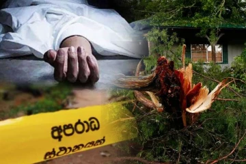 கித்துள் மரம் முறிந்து விழுந்ததில் ஒருவர் உயிரிழப்பு