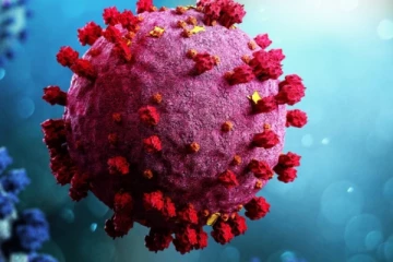 මෙරට කොවිඩ් අවදානම යළිත් ඉහළට..