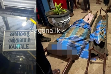 පියා සහ දියණිය දුම්රියට පැන සියදිවි හානිකරගත් අවාසනාවන්ත පුවතක්(PHOTOS).