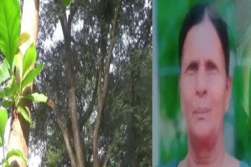 குரங்குகளின் செயற்பாட்டால் உயிரிழந்த பெண்!