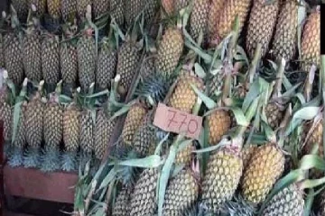 700 ரூபாவுக்கும் மேல் அதிகரித்த அன்னாசிப்பழத்தின் விலை