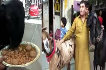 5 லட்சத்துக்கு விற்பனையான ஆடு.. அப்படி என்ன ஸ்பெஷல்? குவிந்த ஊர் மக்கள்