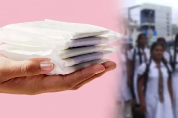විශේෂ නව නීතියක් - මෙහෙම නැත්නම් ආයේ සනීපාරක්ෂක තුවා නිෂ්පාදනය කිරීම සම්පූර්ණයෙන් තහනම්