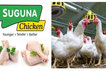 கோழிக்கறி வர்த்தகத்தில் ரூ.12000 கோடி வருமானம்! இந்தியாவே உற்றுநோக்கும் தமிழன்