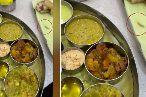 ஹோட்டலில் உணவருந்த சென்றவர்களுக்கு காத்திருந்த அதிர்ச்சி! | Customers Shocked Worm In The Rice