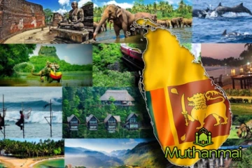 சுற்றுலாப் பயணிகளின் வருகையில் ஏற்பட்டுள்ள மாற்றம்