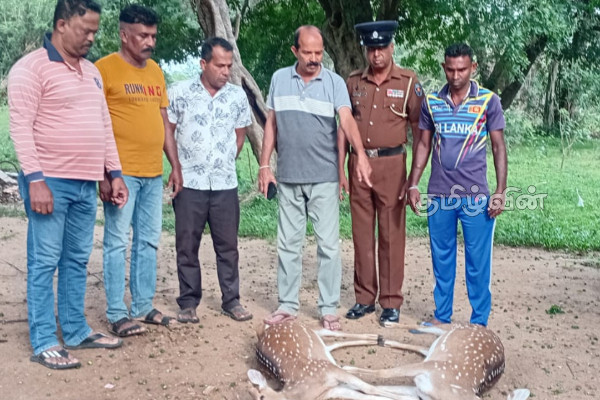 கந்தளாயில் மான்களை வேட்டையாடிய இருவர் கைது | Two Arrested For Hunting Two Deer In Kandalai
