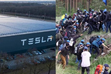 மின்சார கார் தொழிற்சாலையை விரிவுபடுத்த 1,000 ஏக்கர் காடுகளை அழித்த எலோன் மஸ்க்