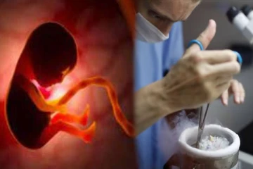 விந்தணு மற்றும் முட்டை இல்லாமல் செயற்கை மனிதக்கரு: ஆராய்ச்சியாளர்களின் திடுக்கிடும் தகவல்