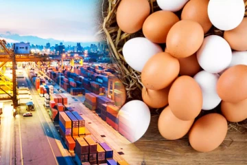 நாட்டில் 8 மில்லியனாக அதிகரித்துள்ள முட்டை நுகர்வு