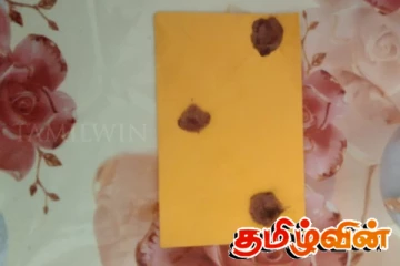 யாழில் பெண்ணொருவர் உட்பட மூவர் கைது
