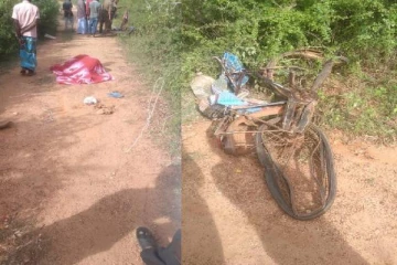 வவுனியாவில் யானை தாக்கி முதியவர் உயிரிழப்பு (PHOTO)