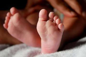 ஜேர்மனியில் குப்பைக் கவரில் கண்டெடுக்கப்பட்ட குழந்தையின் எலும்புக்கூடு! தொடரும் மர்மம்...