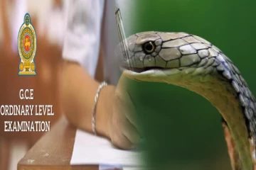 பாம்பு கடித்ததால் பார்வை இழந்த O/L பரீட்சை மாணவன்!