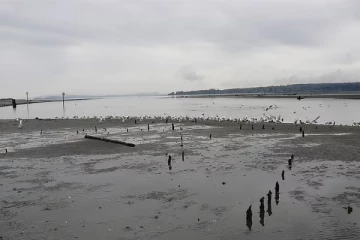 கனேடிய மாகாணமொன்றில் 1,300 ஆண்டுகளாக நீடித்த மர்மத்திற்கு விடை கிடைத்தது