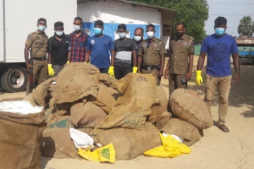 கிளிநொச்சியில் 1200 கிலோ மஞ்சளுடன் சிக்கிய இருவர்