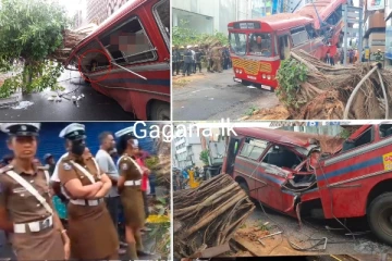 මගීන් සිටි බස් රථයකට විශාල ගසක් කඩා වැටීමෙන් 05ක් මියයයි.(UPDATE/PHOTOS)