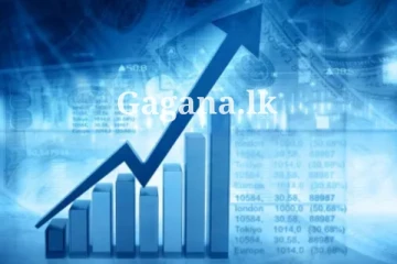 මෙරට 2023 අවසාන කාර්තුවේ මොකද දන්නව ද වෙලා තියෙන්නේ?. විශේෂ දැනුම්දීමක් මෙන්න..