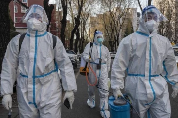 கொரோனா வைரஸின் தோற்றம் இதுதானா? சீன விஞ்ஞானியின் தகவலால் பரபரப்பு!