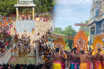 தமிழர் பகுதிகளில் சிறப்பாக இடம்பெற்ற வருடாந்த தேர்த்திருவிழா(Video)