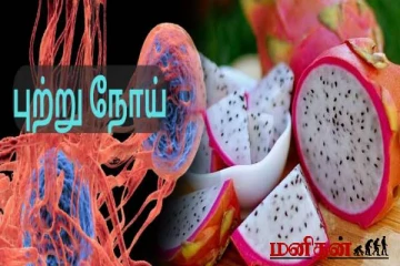 இலங்கை றீச்ஷா பண்ணையில் அமோக விளைச்சல் தரும் டிராகன் பழம்!