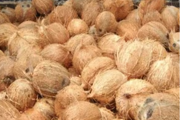 மாத்தறை மாவட்டத்தில் வேகமாகப் பரவி வரும் 