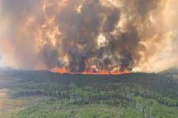 ஆல்பட்டாவில் ஹெலிகாப்டர் விபத்தில் ஒருவர் பலி | Alberta Helicopter Wildfire Crash