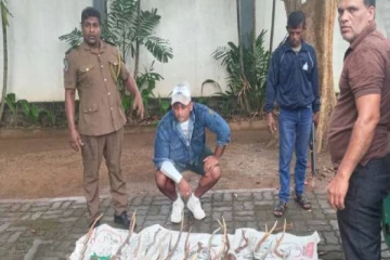 மான், மறை கொம்புகளுடன் சிக்கிய பாடசாலை உயர்தர மாணவன் உட்பட நால்வர்!