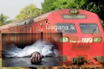 දුම්රිය දෙපාර්තමේන්තු සේවකයෙක් පිහියෙන් ඇන ඝාතනය කරයි..