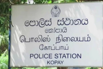 வீதியில் மோட்டார் சைக்கிளில் பயணித்த தம்பதியிடம் தங்க நகைகள் அபகரிப்பு: இருவர் கைது