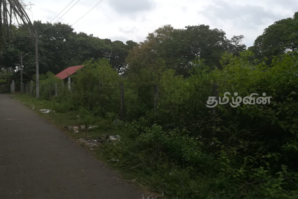 பற்றைக்காடாக காட்சியளிக்கும் விளாவெளி இந்து மயானம் : விடுக்கப்பட்ட கோரிக்கை | Vilaveli Hindu Cemetery Which Looks Like A Forest