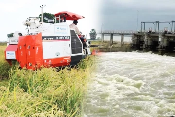 இரணைமடு குளத்தின் கீழ் சிறுபோக நெற்செய்கை மேற்கொள்வதற்கான தீர்மானம் நிறைவேற்றம்