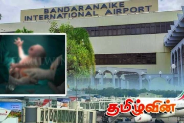கட்டுநாயக்க விமான நிலையத்தில் குழந்தையை பிரசவித்த வெளிநாட்டு பெண்