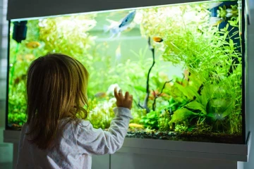 வீட்டில் மீன் வளர்ப்பதால் இத்தனை நன்மைகளா?