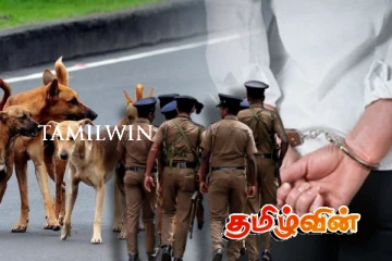 வடக்கில் நாய்க்கு மரண தண்டனை விதித்த பெண் கைது