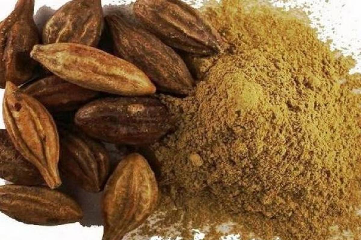 No Exercise, No Diet! உடல் எடையை கட்டுக்குள் வைக்கும் கடுக்காய் பொடி... எப்படி சாப்பிடனும்னு தெரியுமா? | Eating Kadukkai Powder Every Night For Whightloss No Exercise, No Diet! உடல் எடையை கட்டுக்குள் வைக்கும் கடுக்காய் பொடி... எப்படி சாப்பிடனும்னு தெரியுமா? | Eating Kadukkai Powder Every Night For Whightloss