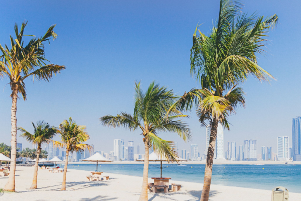 வெளிநாட்டில் பதுங்கியுள்ள ஆபத்தான இலங்கையர்களை சுற்றிவளைக்க தயாராகும் அநுர அரசு | Police Searching 23 Sri Lankan In Abroad