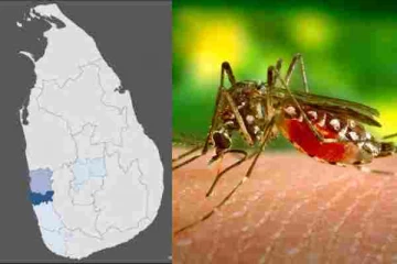 இலங்கையில் வேகமெடுக்கும் டெங்கு நோய்த் தொற்று!