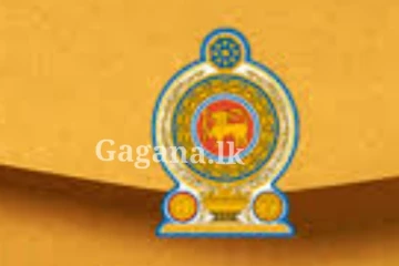 රාජ්‍ය සේවයේ හිඟයක් මඟහරවා ගන්න නව පත්වීම් 4,718ක් - මේ ඒ ගැනයි.