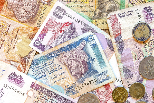 டொலருக்கு நிகரான இலங்கை ரூபாவின் பெறுமதி தொடர்ந்தும் வீழ்ச்சி - ஐபிசி தமிழ்